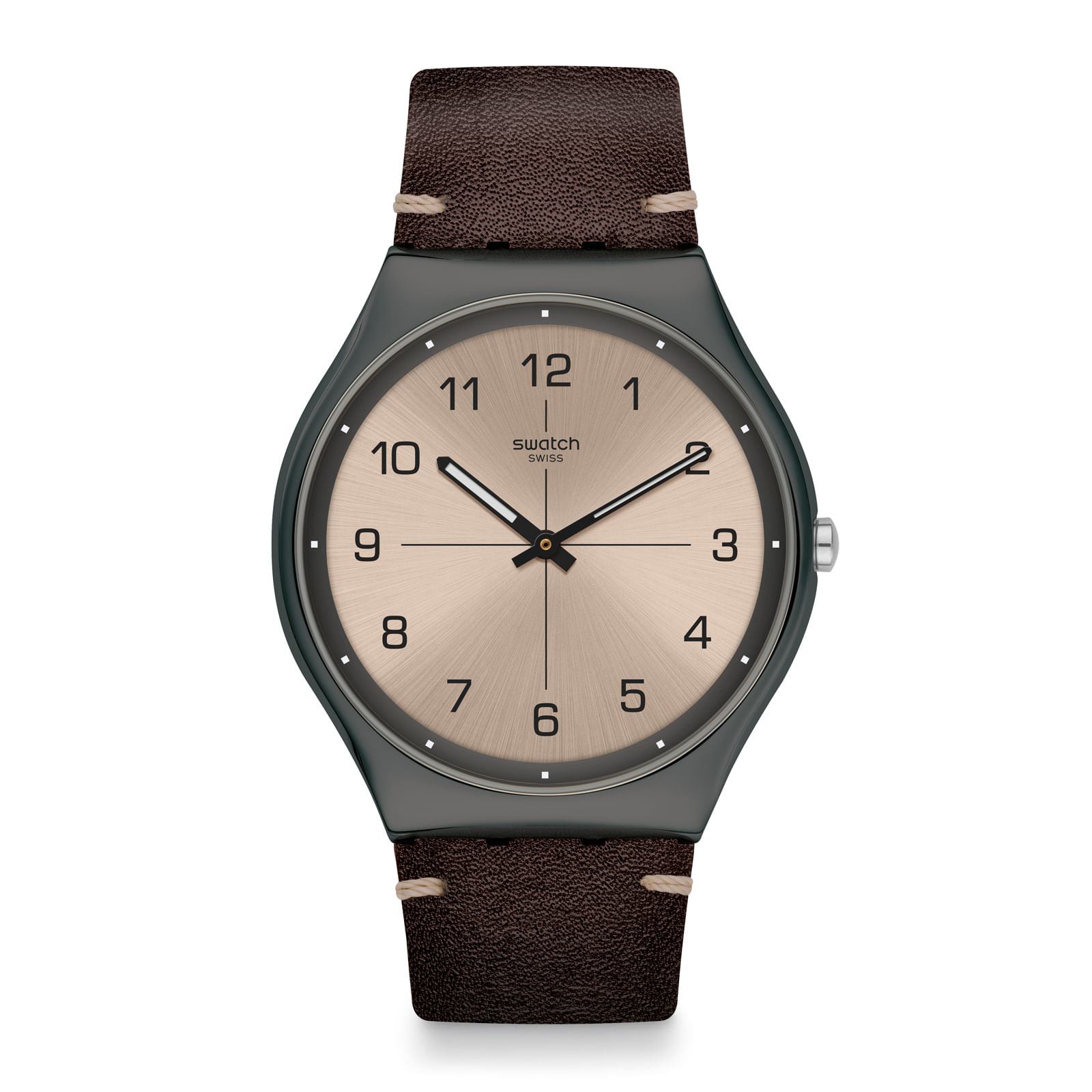 Reloj SWATCH TIME TO TROVALIZE SS07M100 Gris
